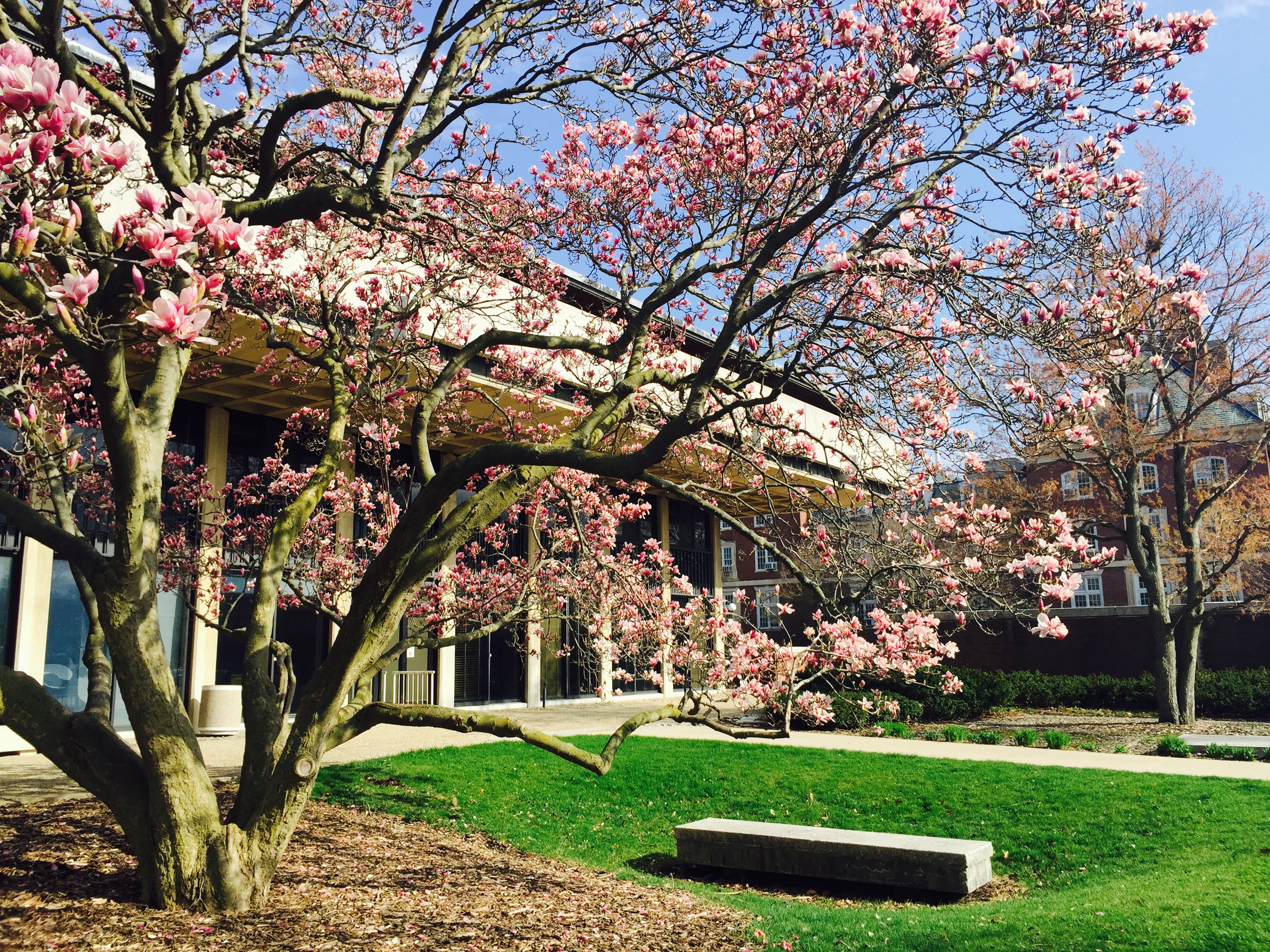 College of Education